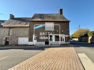 A VENDRE – CHATILLON EN VENDELAIS